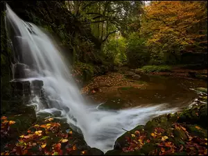 Wodospad na omszałej skale w lesie