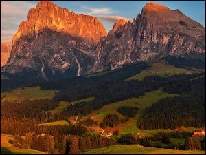 Drzewa, Włochy, Góry Sassolungo, Dolomity, Lasy