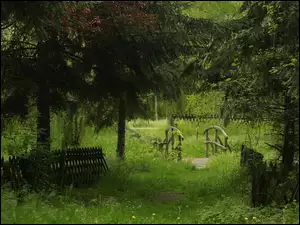 Drewniany mostek i ogrodzenie w zielonym lesie