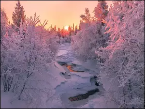 Wschód słońca, Ośnieżone, Rzeka, Zima, Drzewa