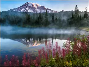 Trawy nad zamglonym jeziorem i górami w Parku Narodowym Mount Rainier