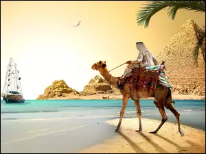 Arab na wielbłądzie na tle piramid