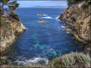 Zatoka w rezerwacie Point Lobos