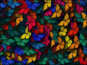Różnokolorowe motyle