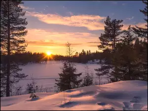 Zachód słońca nad drzewami w zimowej scenerii