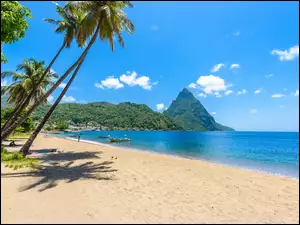 Palmy, Morze Karaibskie, Karaiby, Plaża, Saint Lucia, Wyspa, Góry