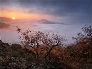 Mgła, Drzewa, Góry, Wschód słońca, Jesień