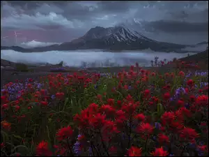 Kwiaty na łące na tle burzy Górami Kaskadowymi