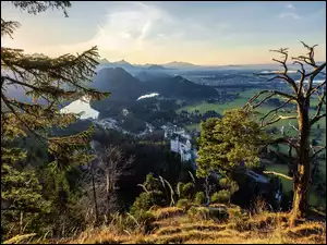 Widok ze wzgórza na zamek Neuschwanstein