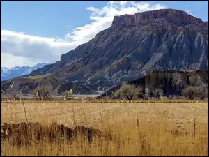 Sucha, Góry, Caineville Mesa, Stany Zjednoczone, Trawa, Utah