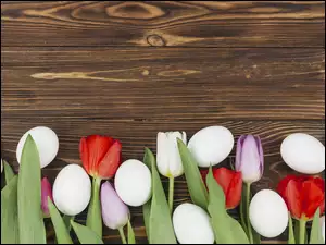 Jajka, Tulipany, Białe, Wielkanoc, Kwiaty