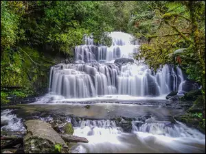 Wodospad Purakaunui Falls w lesie
