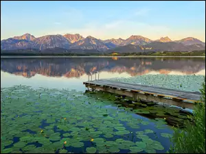 Niemcy, Jezioro Hopfensee, Bawaria, Lilie wodne, Liście, Pomost, Rośliny, Góry, Kwiaty
