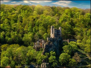 Zamek Rheinstein na skale otoczony lasem w Niemczech