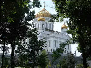 Kopuły, Drzewa, Złote, Katedra, Moskwa