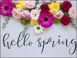 Kolorowe, Kwiaty, Tło, Wiosna, Jasne, Hello Spring, Napis