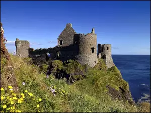 Dunluce, Ruiny, Północna, Zamek, Irlandia, Łąka, Morze