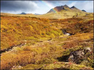 Tęcza nad wulkanem i jesienna roślinność na Islandii