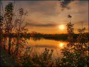 Drzewa dookoła jeziora w blasku zachodzącego słońca