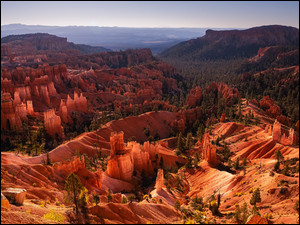 Skały, Kanion, Stany Zjednoczone, Góry, Utah, Park Narodowy Bryce Canyon, Drzewa