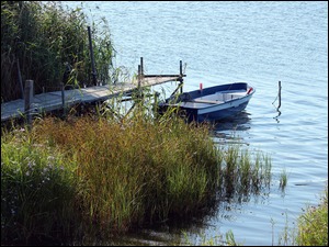 Łódka o pomost w szuwarach na jeziorze
