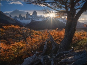 Park Narodowy Los Glaciares, Góry, Szczyt, Jesień, Patagonia, Argentyna, Promienie słońca, Góry, Drzewa, Fitz Roy