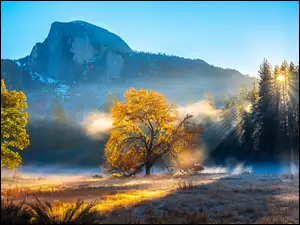 Góry, Stany Zjednoczone, Góra Half Dome, Drzewa, Kalifornia, Jesień, Mgła, Park Narodowy Yosemite
