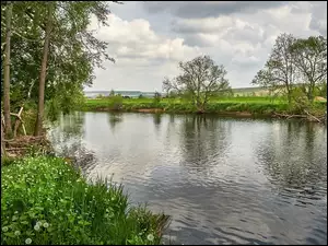 Trawa, Niemcy, Drzewa, Rzeka Nahe, Bretzenheim