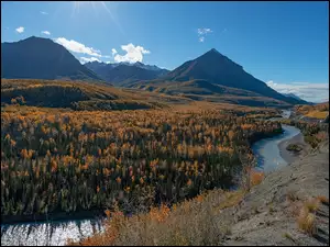 Stany Zjednoczone, Chugach Mountains, Alaska, Matanuska River, Chickaloon, Drzewa, Las, Góry, Rzeka