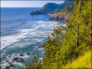 Stany Zjednoczone, Morze, Oregon, Latarnia morska, Heceta Head Lighthouse, Skały, Drzewa, Wybrzeże, Trawa