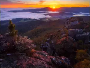 Opadająca, Góra, Meander Valley, Mother Cummings Peak, Skały, Tasmania, Mgła, Zachód słońca, Dolina, Drzewa, Australia