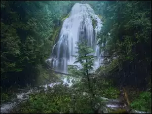 Drzewa, Deszcz, Stany Zjednoczone, Las, Oregon, Fairy Falls, Wodospad