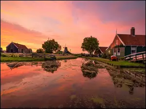 Domy i drzewa o wschodzie słońca w Zaandam