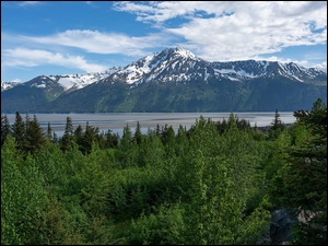 Stany Zjednoczone, Kenai Mountains, Alaska, Turnagain Arm, Anchorage, Rzeka, Drzewa, Góry, Bird Point Park