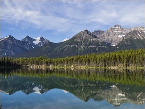 Jezioro, Herbert Lake, Kanada, Góry, Alberta, Odbicie, Drzewa