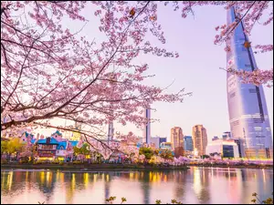 Okwiecone, Korea Południowa, Lotte World Tower, Gałęzie, Seul, Jezioro, Drzewo, Drapacz chmur