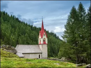 Kaplica wśród drzewa w dolinie