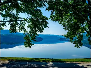 Jezioro Heddalsvatnet, Drzewa, Norwegia