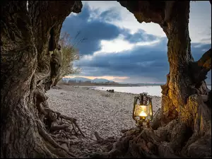 Latarnia na pniu drzewa na kamienistym brzegu morza