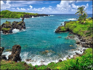Park stanowy Waianapanapa na wyspie hawajskiej Maui