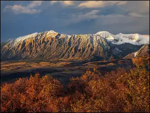 Kebler Pass, Góry, Krzewy, Kolorado, West Elk Mountains, Przełęcz, Stany Zjednoczone, Brązowe