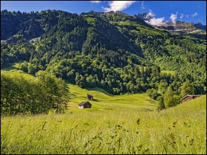 Domy w alpejskiej dolinie