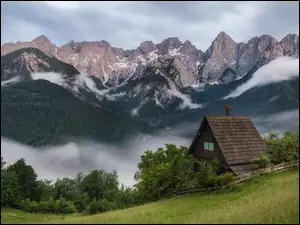 Mgła, Góry, Drzewa, Kranjska Gora, Alpy Julijskie, Dom, Słowenia, Las
