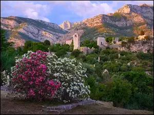 Kwiaty, Góry, Czarnogóra, Krzew, Stari Bar, Twierdza Stary Bar, Wzgórza