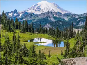 Park Narodowy Mount Rainier i jezioro Tipsoo Lake w stanie Waszyngton
