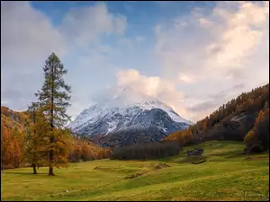 Drewniane, Góry, Jesień, Szopy, Las, Chmury, Szwajcaria, Drzewa