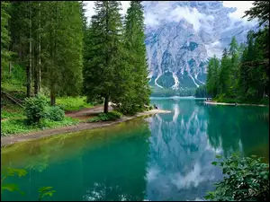 Drzewa, Włochy, Pragser Wildsee, Mgła, Południowy Tyrol, Góry, Odbicie, Jezioro