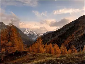 Alpy Pennińskie, Góry, Jesień, Szwajcaria, Drzewa, Chmury