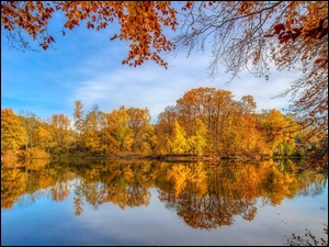 Drzewa, Jesień, Jezioro, Pożółkłe