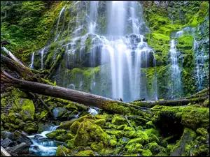 Stan Oregon, Wodospad, Konary, Stany Zjednoczone, Kamienie, Omszałe, Proxy Falls